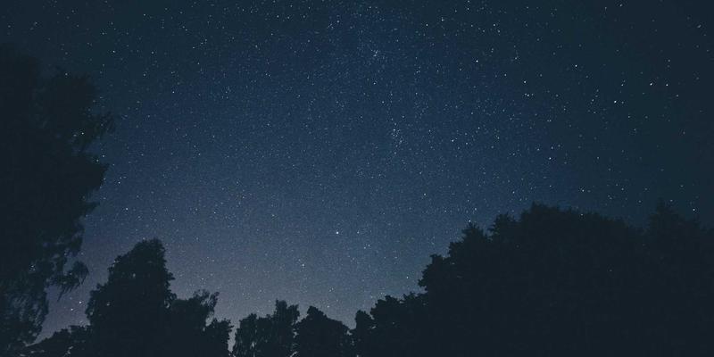 中国种子：解锁农业碳中和的绿色基因密码——高产低碳品种如何重塑未来种植