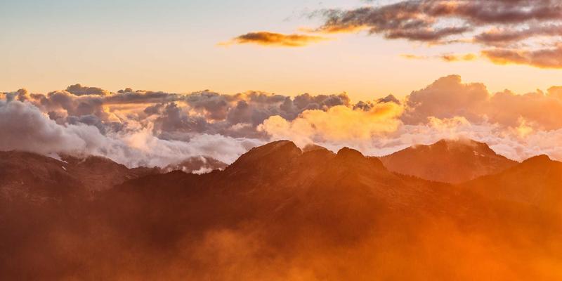 从实验室到田野：中国小麦抗逆性品种培育如何重塑粮食安全格局