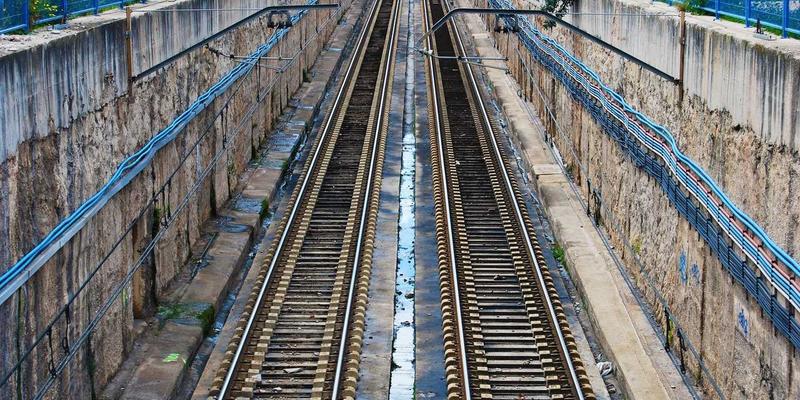 从实验室到田间:揭秘中国种子区域试验体系如何锻造适应性强的优质种子