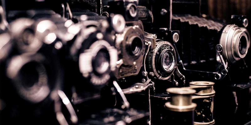 从‘小种子’到‘大丰收’:揭秘中国种业供应链金融如何破解三农融资难题