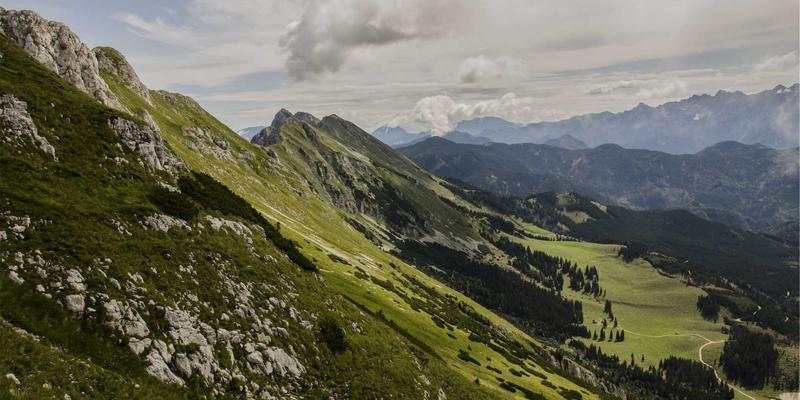 从源头到丰收:中国马铃薯种薯脱毒技术如何破解高产与病害防控难题