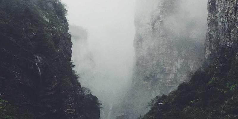 从田间到指尖:中国种子电商如何重塑种业格局,为现代农业提供全新解决方案