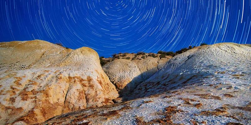 从种子银行到田间地头:中国如何以种质资源库守护农业未来,赋能全球种植技术与解决方案