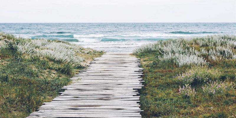 破壁出海:中国种子认证与国际互认,如何成为全球农业解决方案的关键拼图?