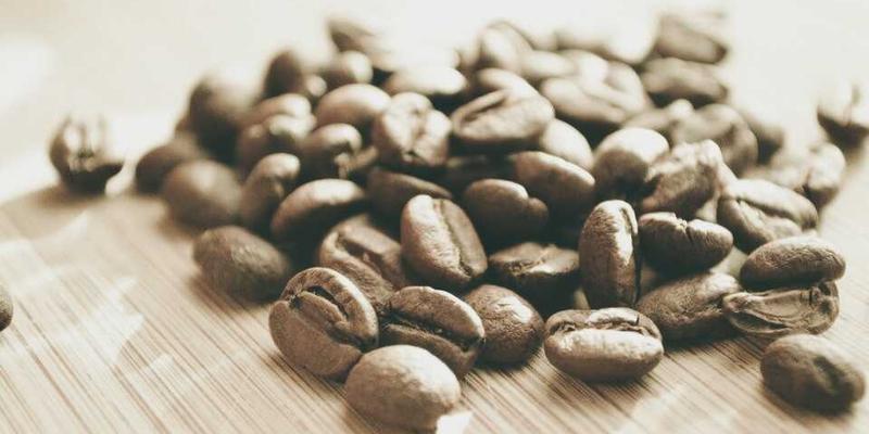 破浪出海:中国种子企业如何深耕东南亚市场并化解地缘风险