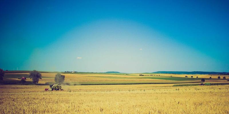 破界融合：中国农业高校与种企如何打造育种“国家队”？