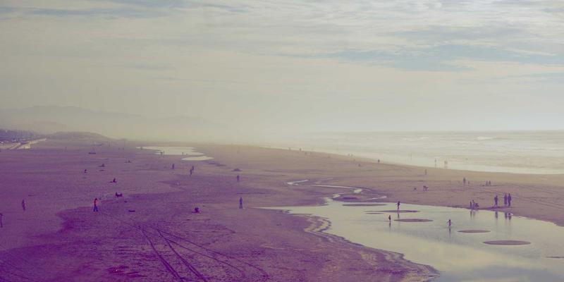 “种”关国运:破解蔬菜种子进口依赖,探寻国产优质种源崛起之路