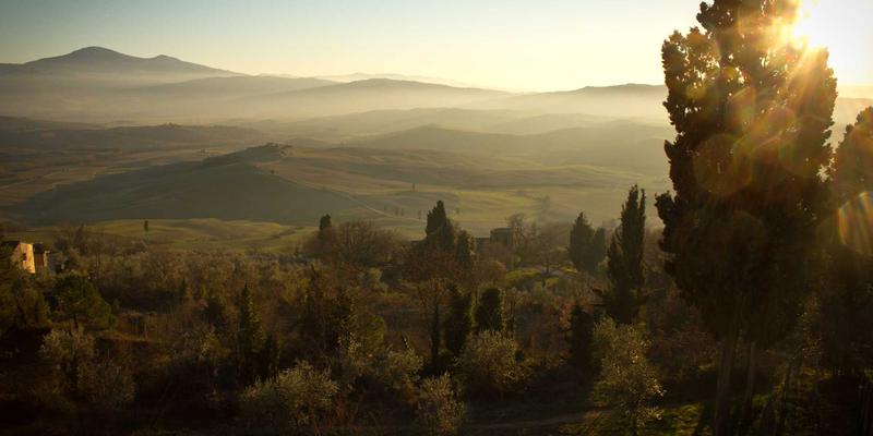 筑牢中国饭碗的根基:种子供应链韧性如何抵御极端天气与地缘政治风险