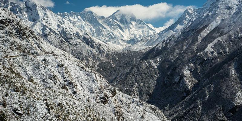 筑牢农业“芯片”防线：中国种子安全战略如何托举国家粮食安全